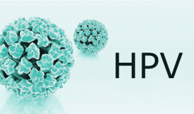 HPV科普小知识