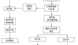 SMA筛查与诊断流程图