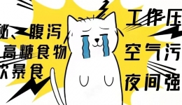 头发离奇失踪案——是谁拔掉了你的头发？
