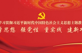 深入开展学习贯彻习近平新时代中国特色社会主义思想主题教育